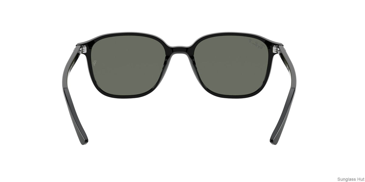 RB2193 Black/Polarized Green Classic G-15/Polarized STD