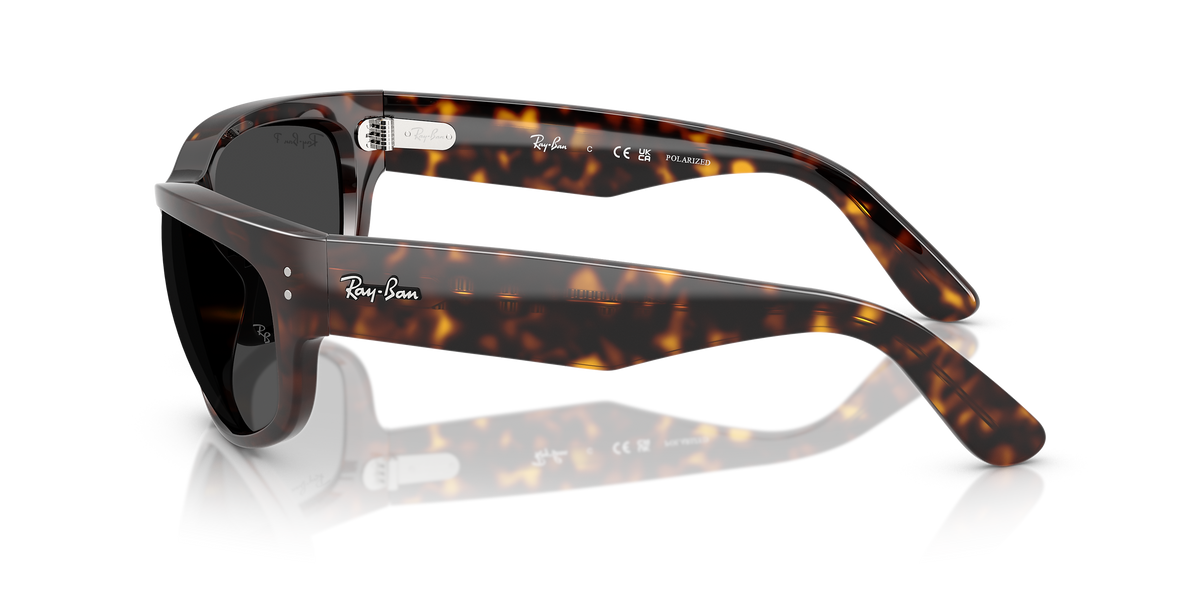 Ray-Ban RB2289 Mega Balorama