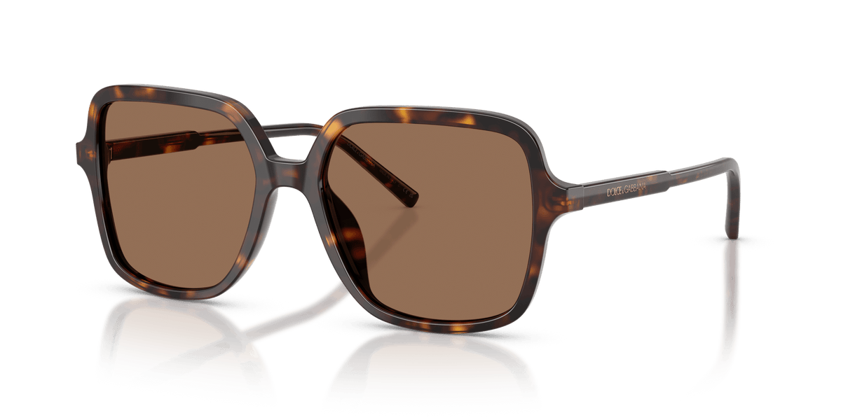 DG4539 DOLCE & GABBANA Tortoise/Brown L