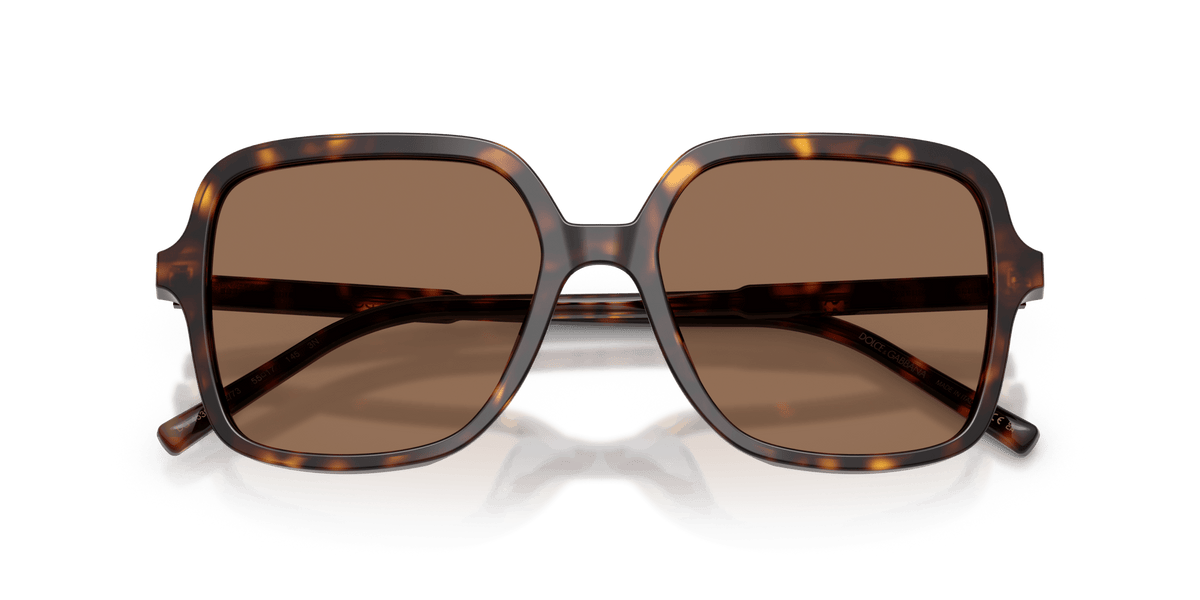 DG4539 DOLCE & GABBANA Tortoise/Brown L
