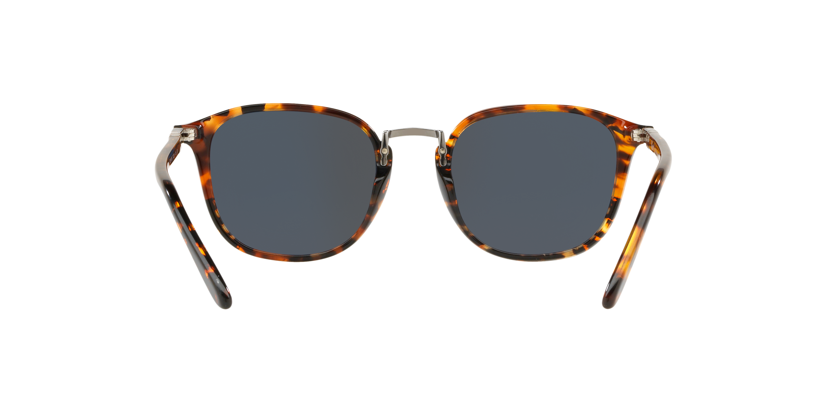 PO3186S بني/أزرق كبير