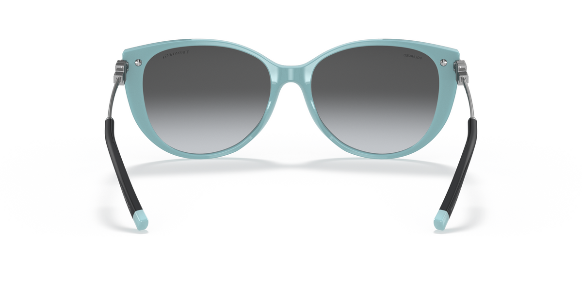 TF4178 Silver/Polar Grey Gradient/Polarized XL