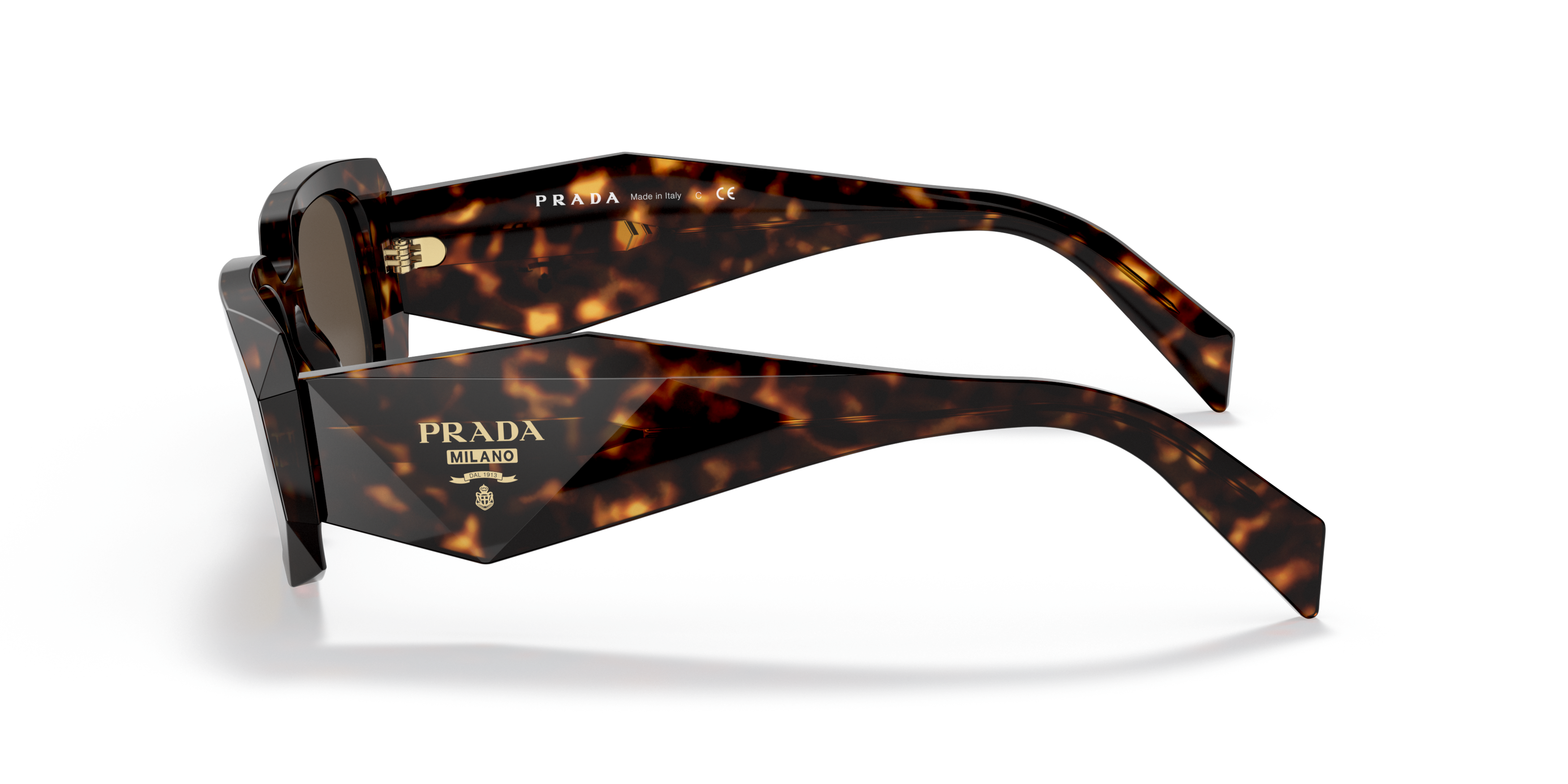 PR 17WS سلحفاة/بنى S