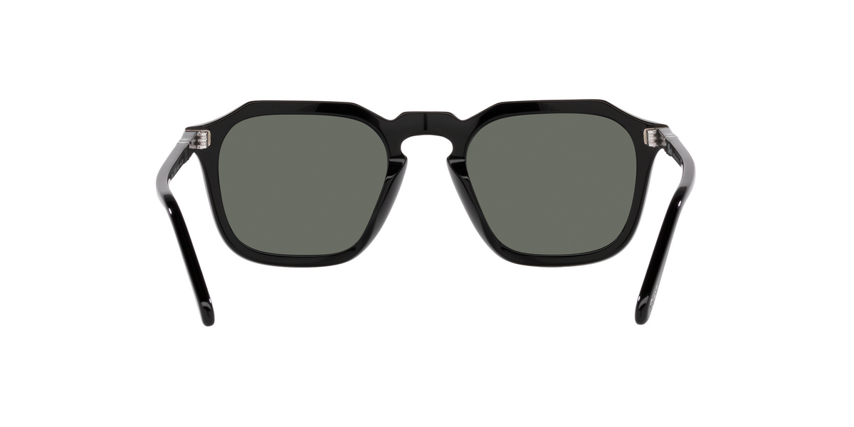 PO3292S Black/Polar Green/Polarized