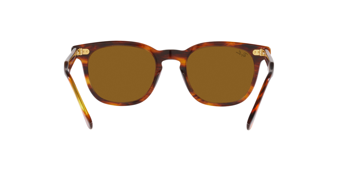 RB2298 Havana/Brown