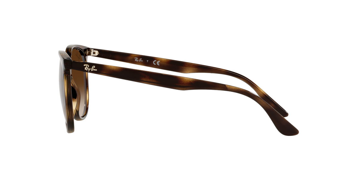 RB4378 Brown/Gradient Brown