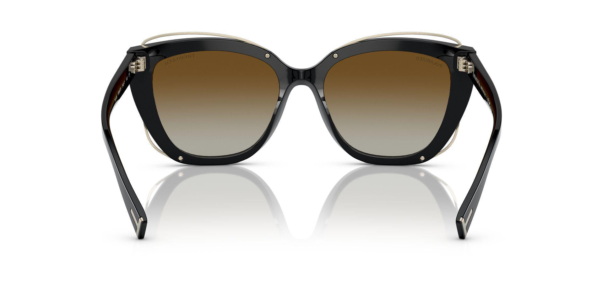 TF4148 Black/Polar Brown Gradient/Polarized M