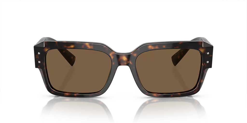 DG4460 Dolce & Gabbana Havana/Brown L