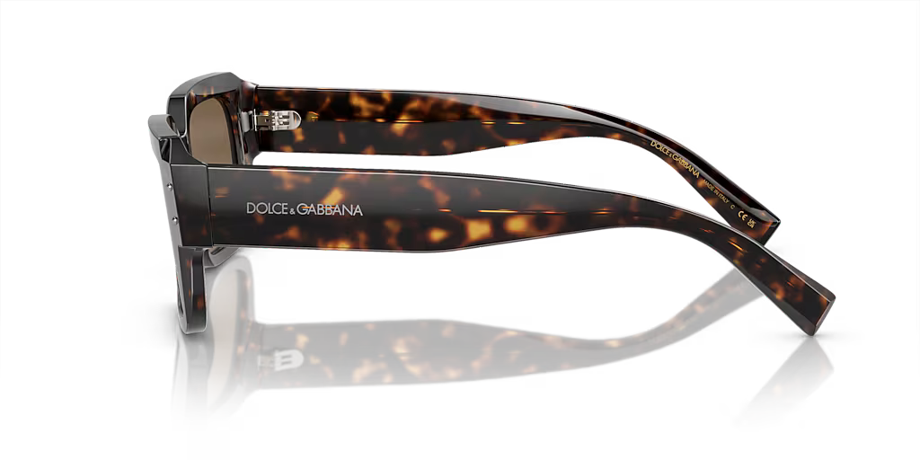DG4460 Dolce & Gabbana Havana/Brown L