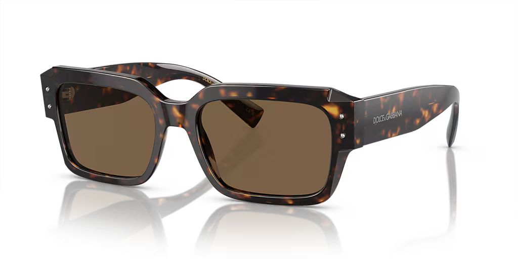 DG4460 Dolce & Gabbana Havana/Brown L