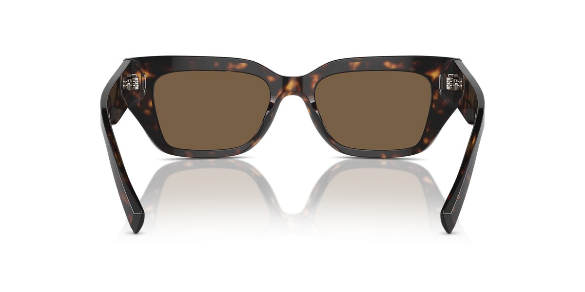 DG4462 Dolce & Gabbana Havana/Brown M