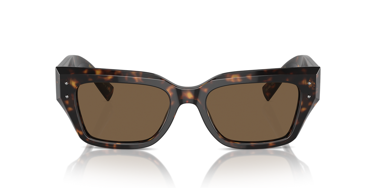 DG4462 Dolce & Gabbana Havana/Brown M