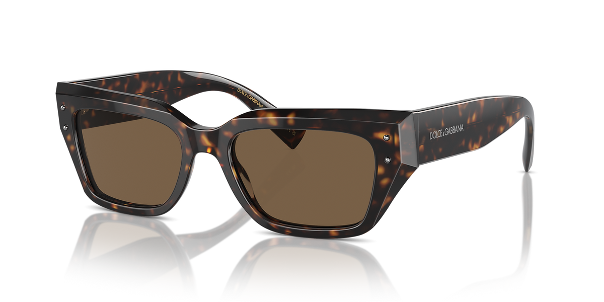 DG4462 Dolce & Gabbana Havana/Brown M