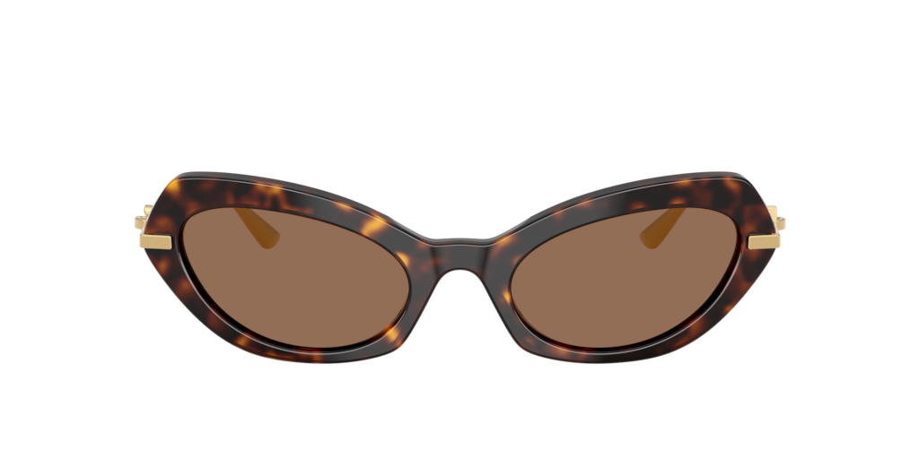 DG4473 Dolce & Gabbana havana/dark brown XL