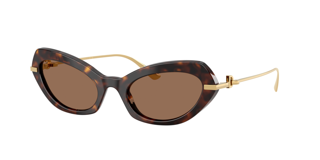 DG4473 Dolce & Gabbana havana/dark brown XL