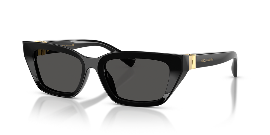 DG4532 DOLCE & GABBANA Black/Grey S
