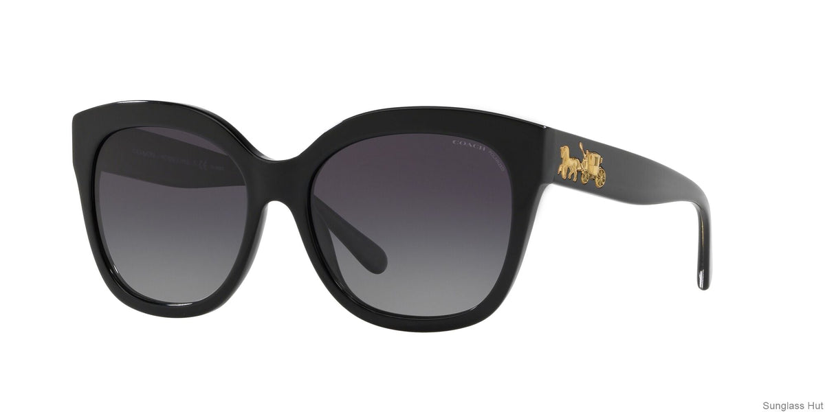 HC8264 Blue/Grey/Polarized M