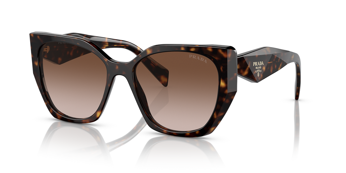 PR 19ZS Tortoise/Brown Gradient M