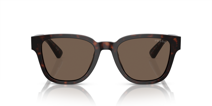 PR A04S Tortoise/Brown M