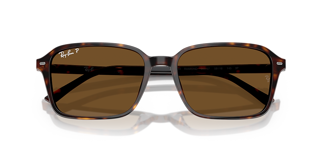 RB2231 Raimond Ray-Ban Tortoise/Brown XL