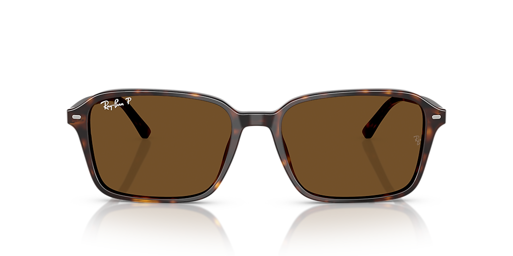 RB2231 Raimond Ray-Ban Tortoise/Brown XL