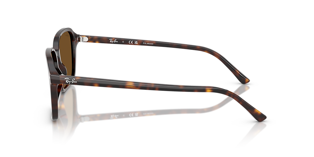 RB2231 Raimond Ray-Ban Tortoise/Brown XL