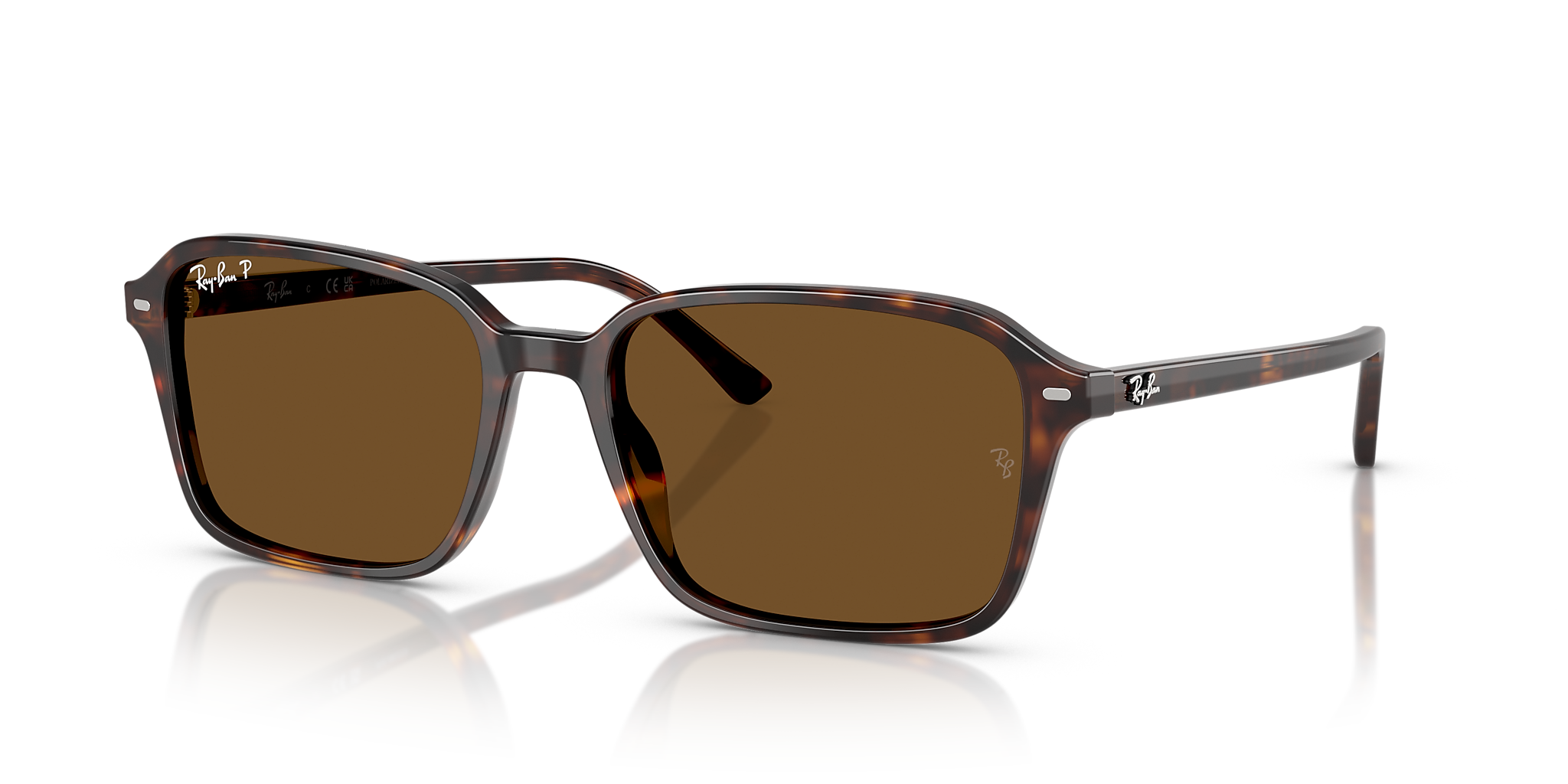 RB2231 Raimond Ray-Ban Tortoise/Brown XL