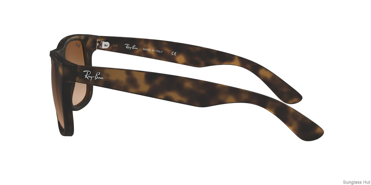 RB4165 Tortoise/Brown Gradient STD