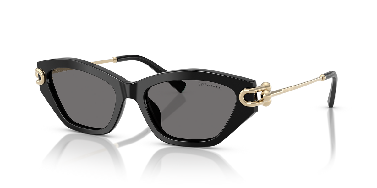 TF4231U Tiffany & Co. Black/Grey XL