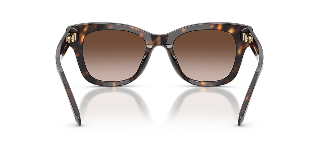 TY7225U توري بورش بني