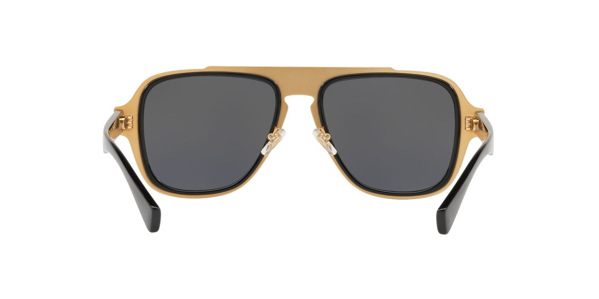 VE2199 Black/Dark Grey/Polarized XL