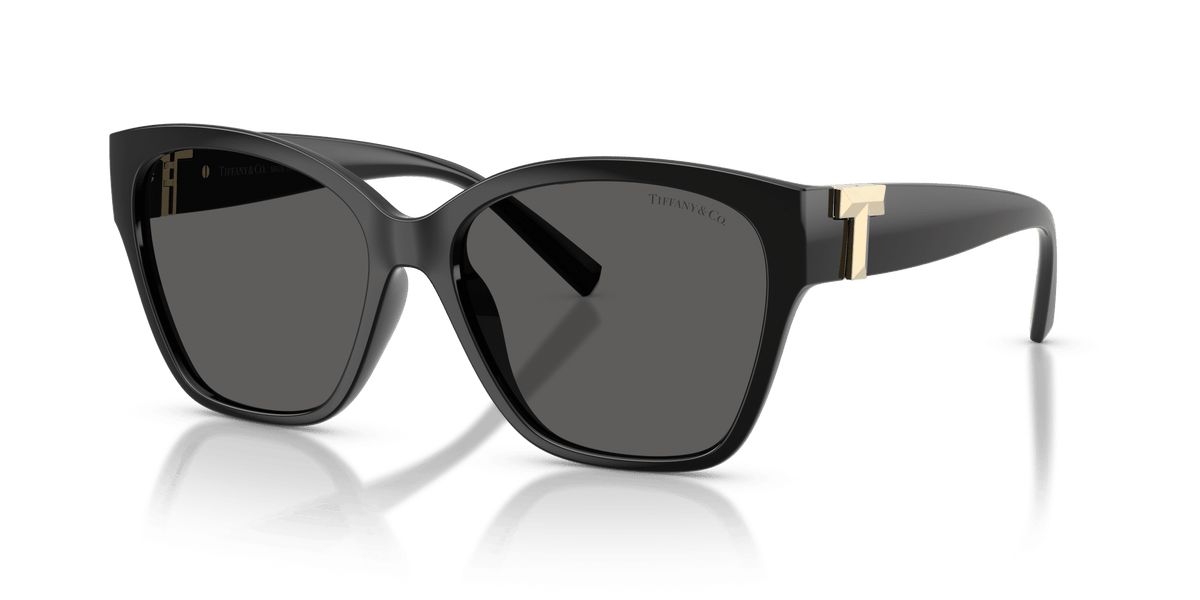 TF4254U TIFFANY Black/Grey XL