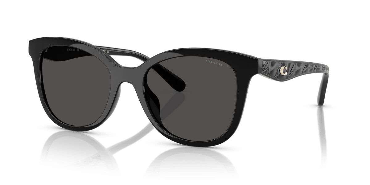 HC8419U CAD25 Coach Black/Grey XL
