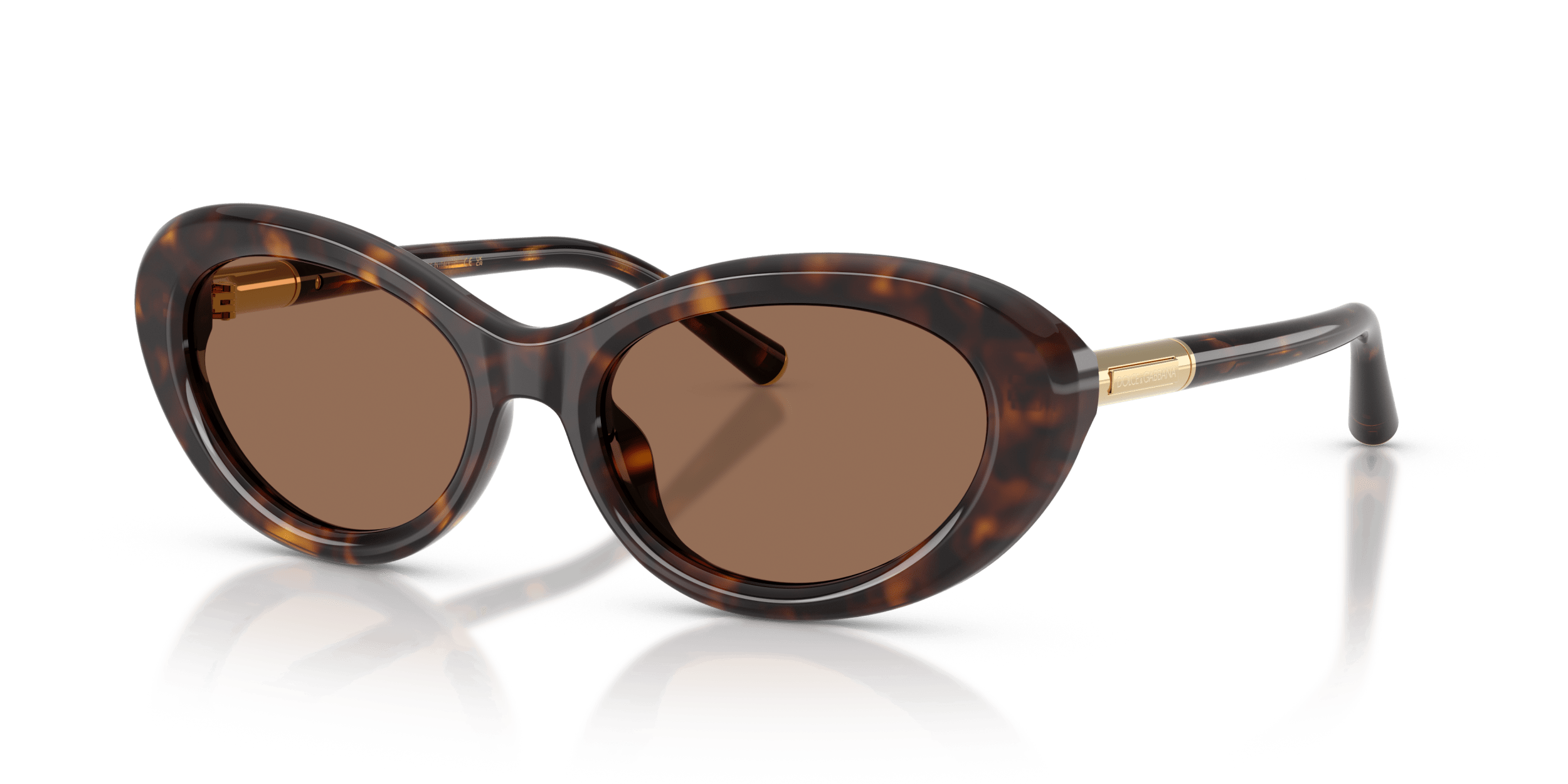 DG4519 DOLCE & GABBANA Tortoise/Brown S