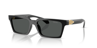 VE4490U VERSACE Black/Grey L