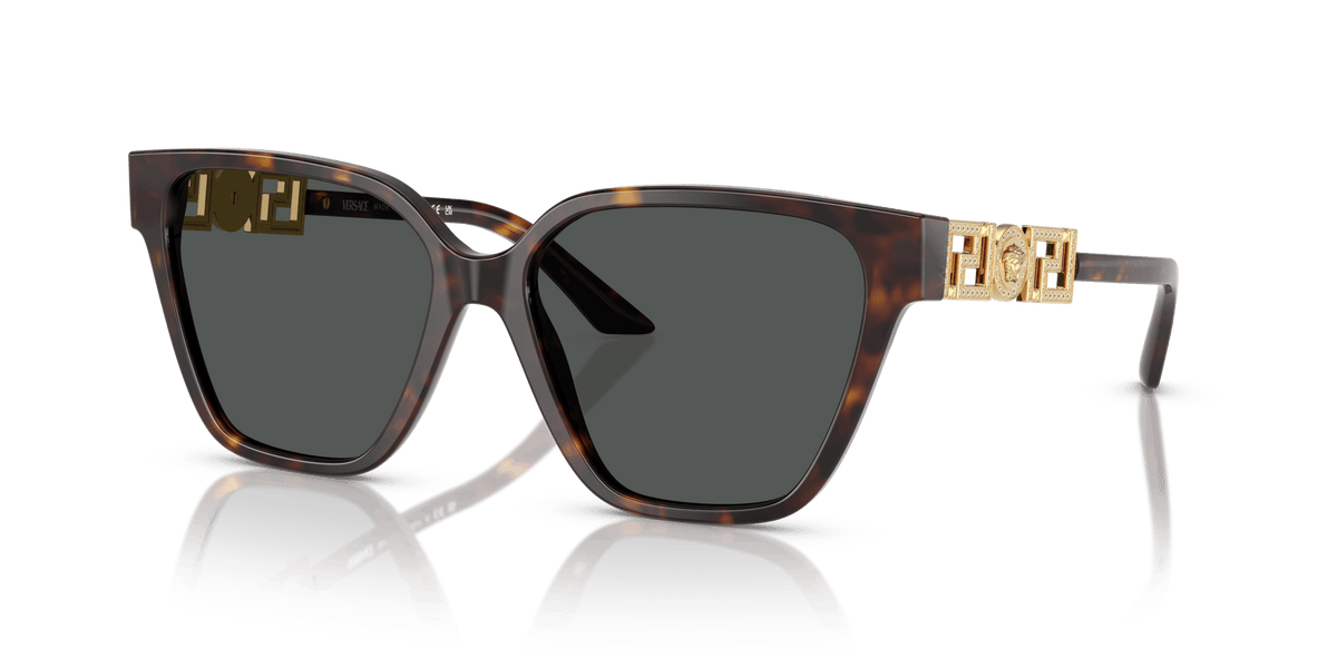 VE4471B VERSACE Tortoise/Grey L