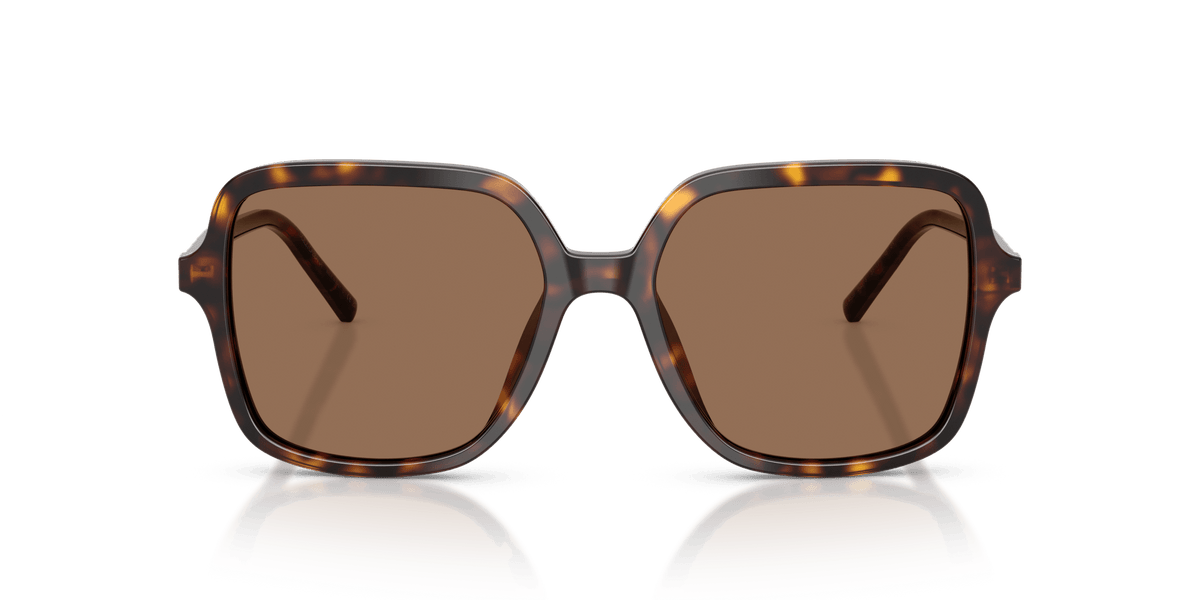 DG4539 DOLCE & GABBANA Tortoise/Brown L