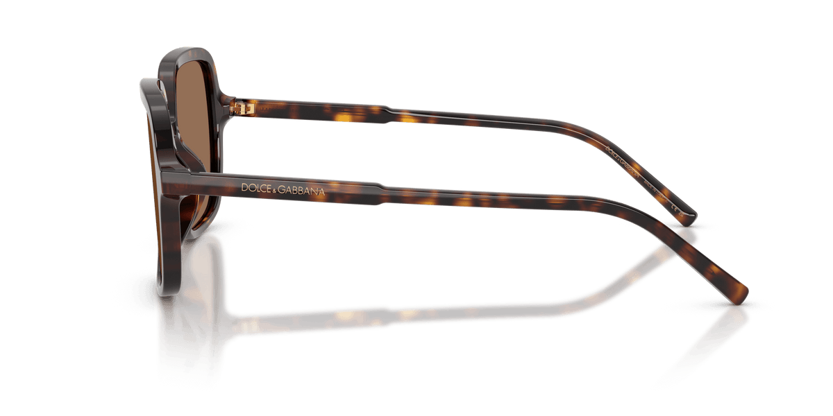 DG4539 DOLCE & GABBANA Tortoise/Brown L