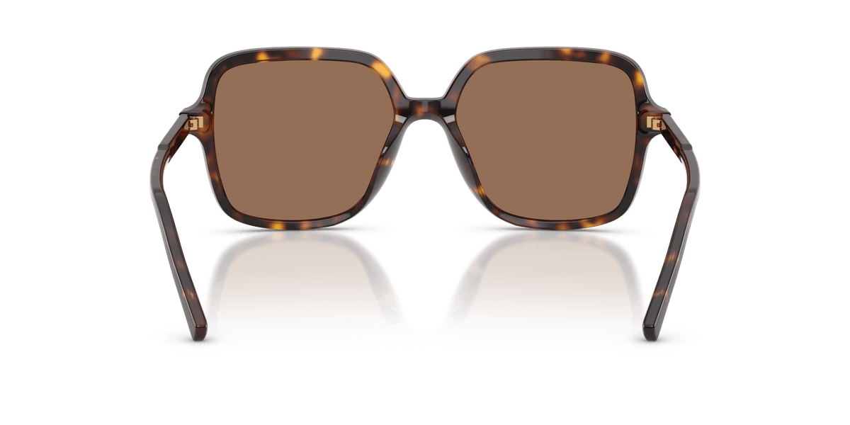 DG4539 DOLCE & GABBANA Tortoise/Brown L