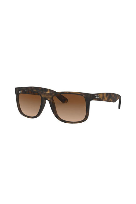 RB4165 Tortoise/Brown Gradient STD