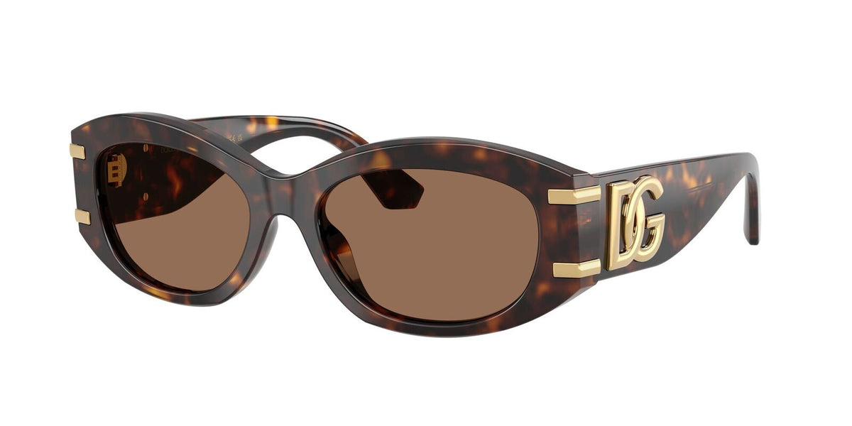 DG4502 Dolce & Gabbana Havana/Brown L