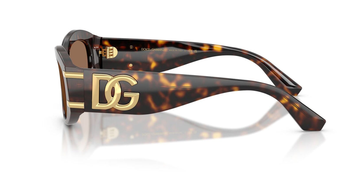 DG4502 Dolce & Gabbana Havana/Brown L