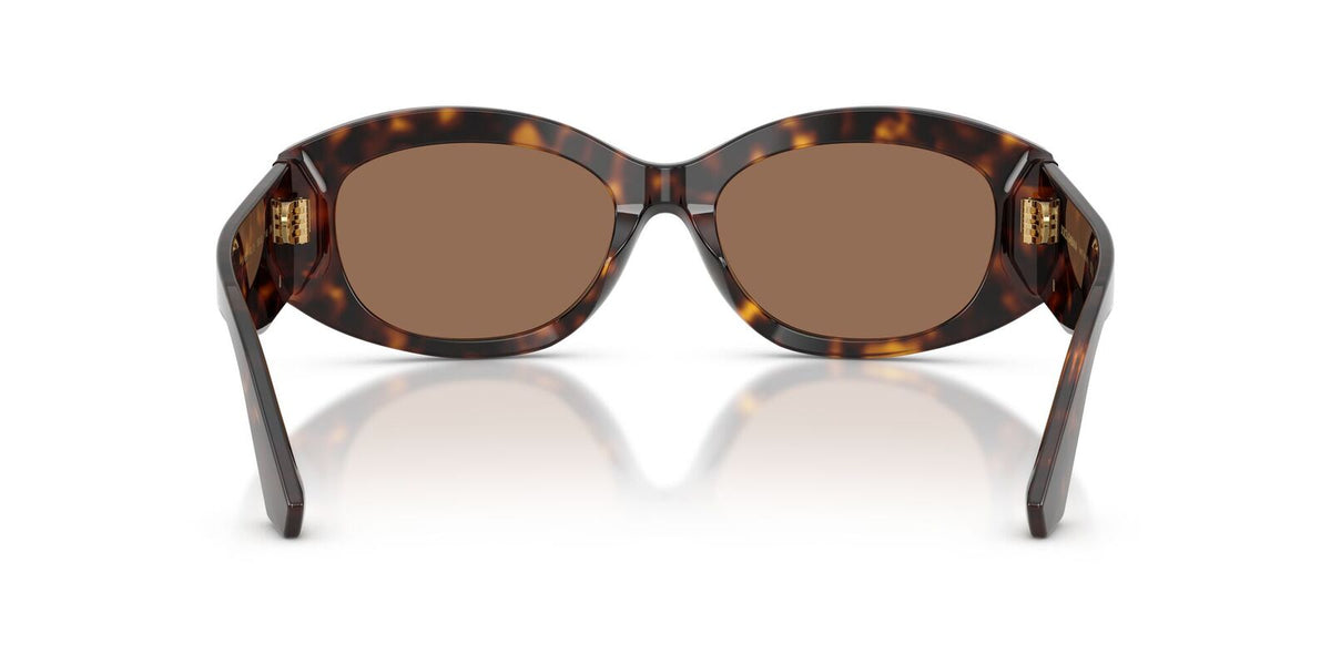DG4502 Dolce & Gabbana Havana/Brown L