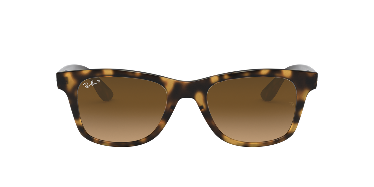 RB4640 Tortoise/Polarized Brown Gradient/Polarized STD