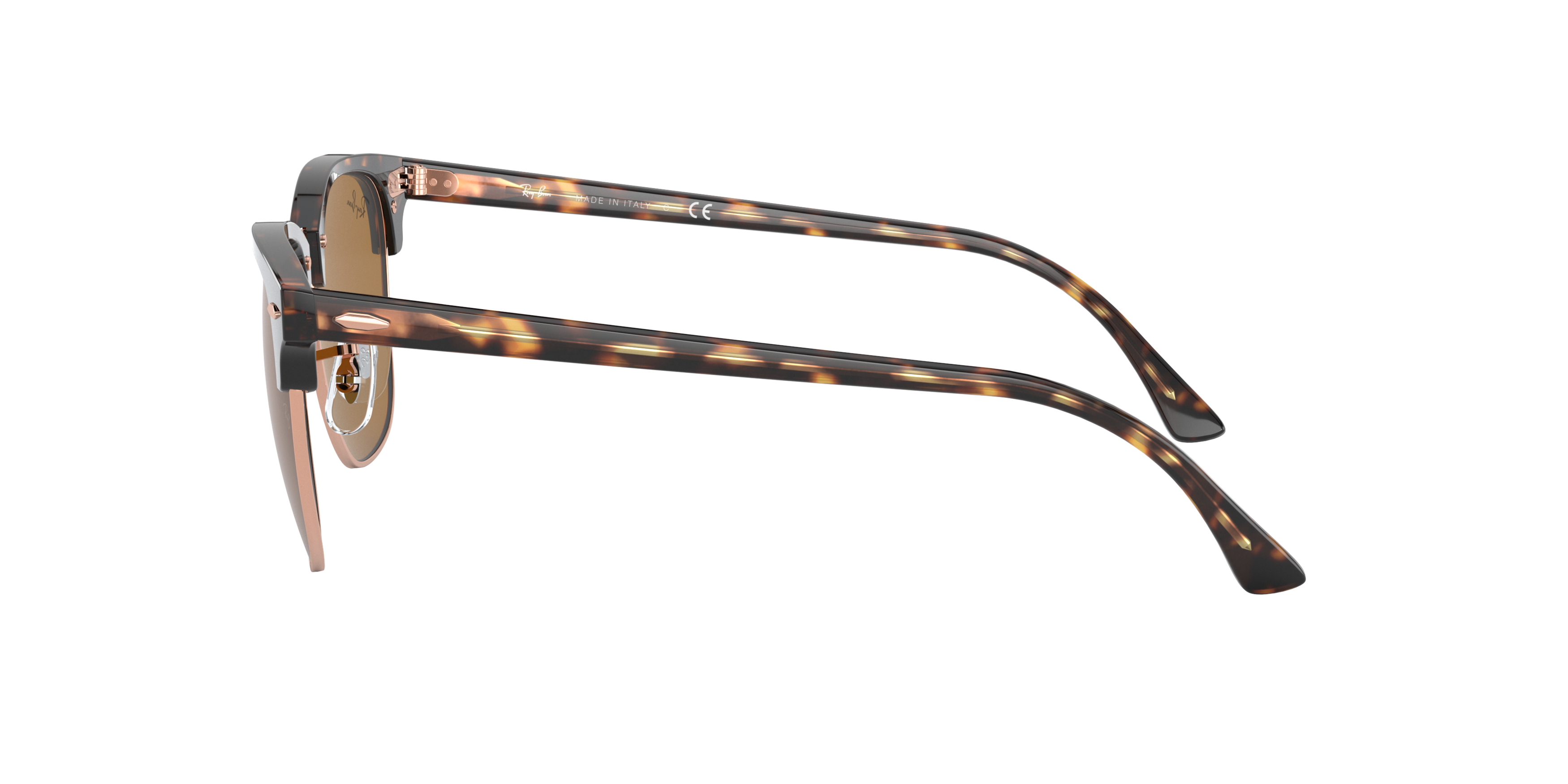 RB3016 Tortoise/Brown Classic B-15 L