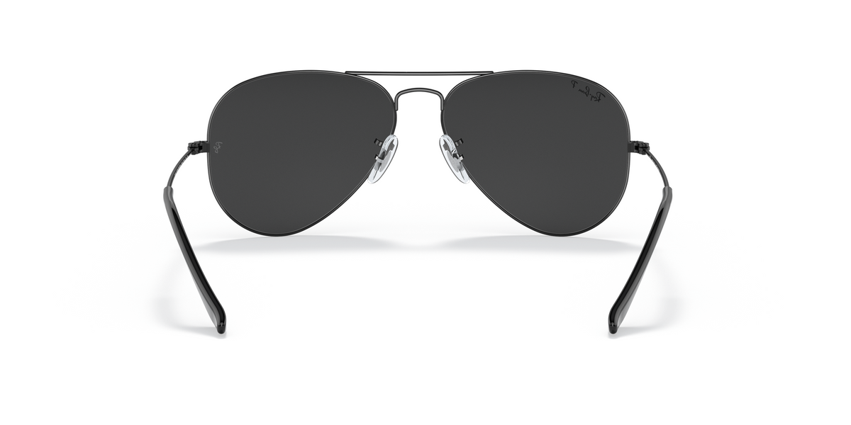 RB3025 Black/Polarized Black/Polarized STD