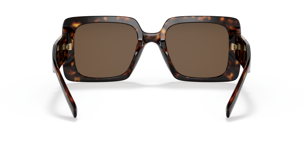 VE4405 Brown/Dark Brown M