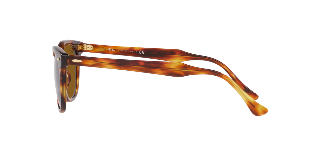 RB2298 Havana/Brown