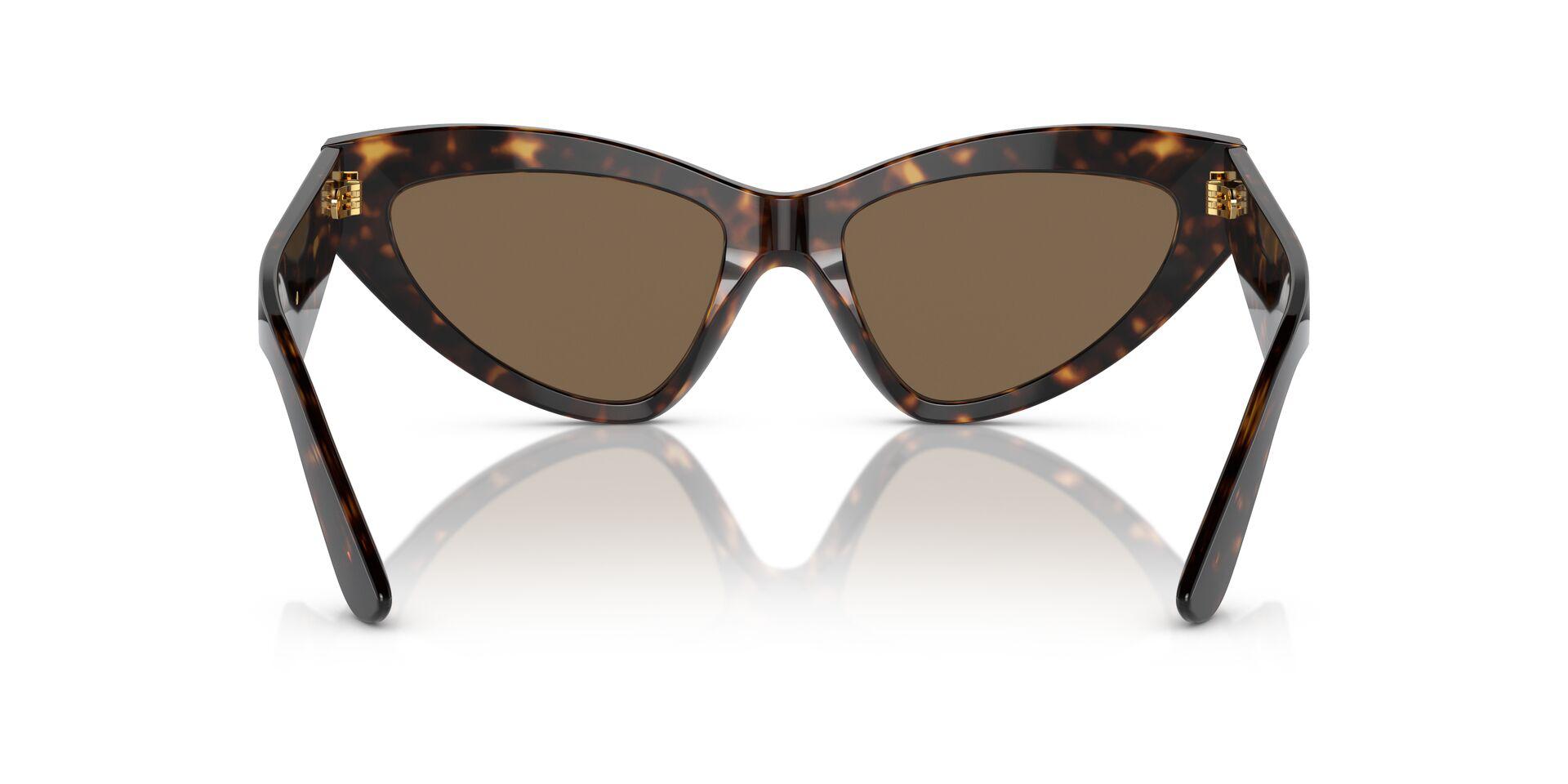 DG4439 Tortoise/Dark Brown L