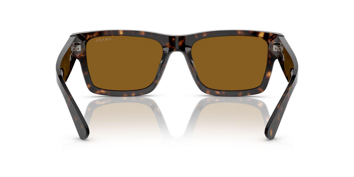 PR 25ZS Tortoise/Brown L